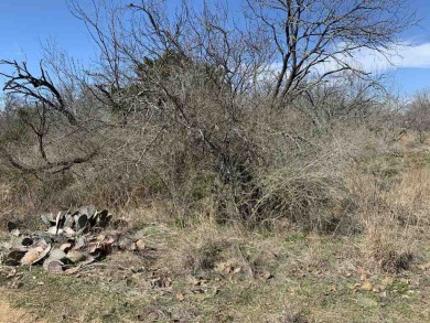 Great opportunity for building your home in Kingsland, Texas! on Lighthouse Golf Course in Texas - for sale on GolfHomes.com, golf home, golf lot