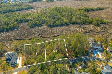 Build your dream home on this beautiful MARSH FRONT lot with on The King and Prince Golf Course, Home of the Hampton Club in Georgia - for sale on GolfHomes.com, golf home, golf lot