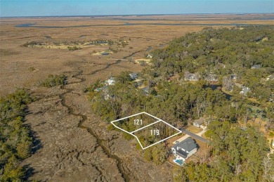 Build your dream home on this beautiful MARSH FRONT lot with on The King and Prince Golf Course, Home of the Hampton Club in Georgia - for sale on GolfHomes.com, golf home, golf lot