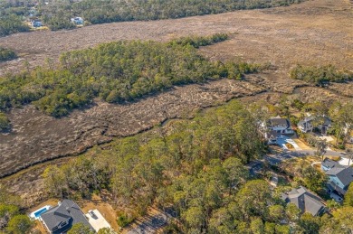 Build your dream home on this beautiful MARSH FRONT lot with on The King and Prince Golf Course, Home of the Hampton Club in Georgia - for sale on GolfHomes.com, golf home, golf lot