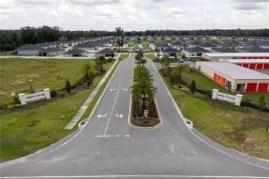 Discover your dream home in the serene, sought-after 55+ on Candler Hills Golf and Country Club in Florida - for sale on GolfHomes.com, golf home, golf lot