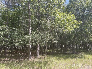 Beautiful wooded double lot along hole #12 fairway on Lake Bluff on Terrace Bluff Golf Course in Michigan - for sale on GolfHomes.com, golf home, golf lot