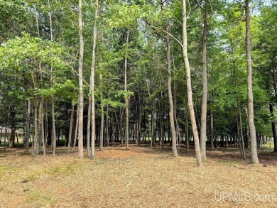 Beautiful wooded double lot along hole #12 fairway on Lake Bluff on Terrace Bluff Golf Course in Michigan - for sale on GolfHomes.com, golf home, golf lot