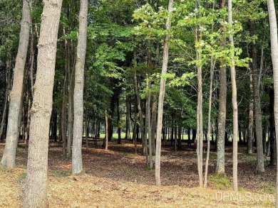 Beautiful wooded double lot along hole #12 fairway on Lake Bluff on Terrace Bluff Golf Course in Michigan - for sale on GolfHomes.com, golf home, golf lot