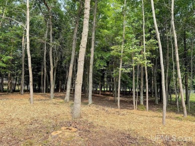 Beautiful wooded double lot along hole #12 fairway on Lake Bluff on Terrace Bluff Golf Course in Michigan - for sale on GolfHomes.com, golf home, golf lot