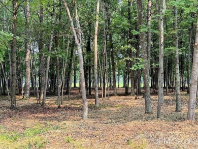 Beautiful wooded double lot along hole #12 fairway on Lake Bluff on Terrace Bluff Golf Course in Michigan - for sale on GolfHomes.com, golf home, golf lot