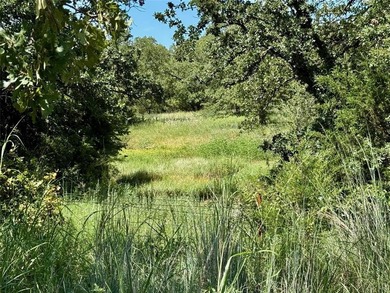 Discover an unparalleled opportunity to own 22.5 acres within on Nocona Hills Golf Course in Texas - for sale on GolfHomes.com, golf home, golf lot