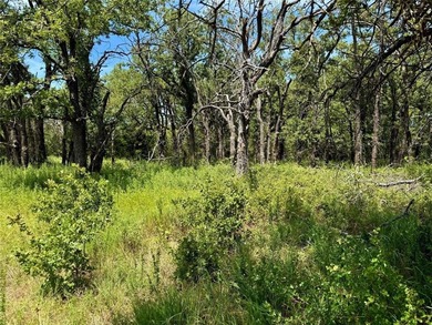 Discover an unparalleled opportunity to own 22.5 acres within on Nocona Hills Golf Course in Texas - for sale on GolfHomes.com, golf home, golf lot