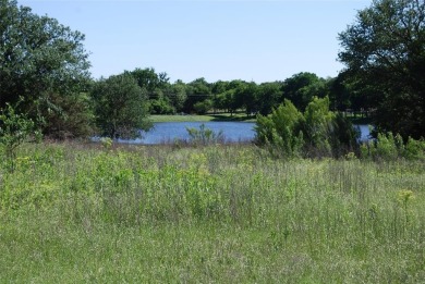 Gorgeous waterfront property located on the South Lake. Not too on White Bluff Resort - New Course in Texas - for sale on GolfHomes.com, golf home, golf lot