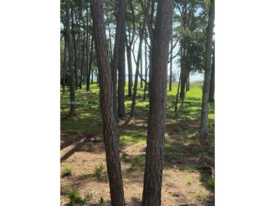 Welcome to 86 Martinangel Lane - a prime .55-acre homesite on Melrose Golf Course in South Carolina - for sale on GolfHomes.com, golf home, golf lot