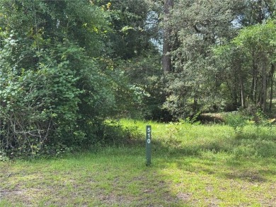 FANTASTIC PRICE POINT! 0.92 OF AN ACRE  INSIDE THE GATES OF on Sapelo Hammock Golf Club in Georgia - for sale on GolfHomes.com, golf home, golf lot