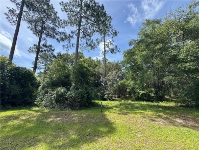 FANTASTIC PRICE POINT! 0.92 OF AN ACRE  INSIDE THE GATES OF on Sapelo Hammock Golf Club in Georgia - for sale on GolfHomes.com, golf home, golf lot