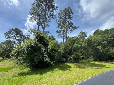 FANTASTIC PRICE POINT! 0.92 OF AN ACRE  INSIDE THE GATES OF on Sapelo Hammock Golf Club in Georgia - for sale on GolfHomes.com, golf home, golf lot