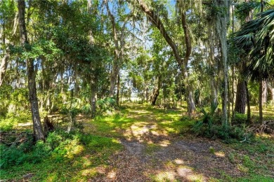 Expansive Marsh Views from this almost an acre lot in beautiful on The King and Prince Golf Course, Home of the Hampton Club in Georgia - for sale on GolfHomes.com, golf home, golf lot