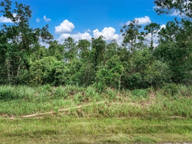 Build your dream home in the sought-after Sun N Lake community! on Sun n Lake Golf and Country Club in Florida - for sale on GolfHomes.com, golf home, golf lot