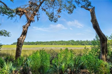 Expansive Marsh Views from this almost an acre lot in beautiful on The King and Prince Golf Course, Home of the Hampton Club in Georgia - for sale on GolfHomes.com, golf home, golf lot