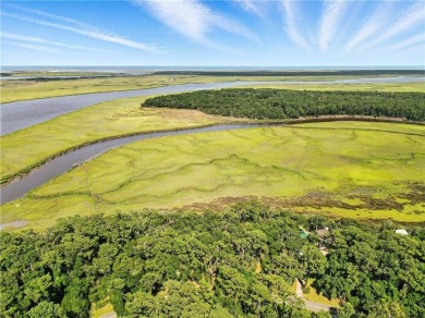 Expansive Marsh Views from this almost an acre lot in beautiful on The King and Prince Golf Course, Home of the Hampton Club in Georgia - for sale on GolfHomes.com, golf home, golf lot