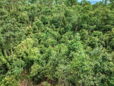 Build your dream home in the sought-after Sun N Lake community! on Sun n Lake Golf and Country Club in Florida - for sale on GolfHomes.com, golf home, golf lot