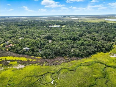 Expansive Marsh Views from this almost an acre lot in beautiful on The King and Prince Golf Course, Home of the Hampton Club in Georgia - for sale on GolfHomes.com, golf home, golf lot