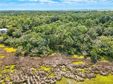 Expansive Marsh Views from this almost an acre lot in beautiful on The King and Prince Golf Course, Home of the Hampton Club in Georgia - for sale on GolfHomes.com, golf home, golf lot