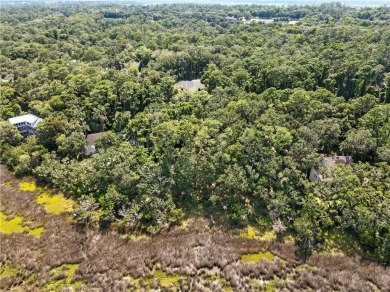 Expansive Marsh Views from this almost an acre lot in beautiful on The King and Prince Golf Course, Home of the Hampton Club in Georgia - for sale on GolfHomes.com, golf home, golf lot