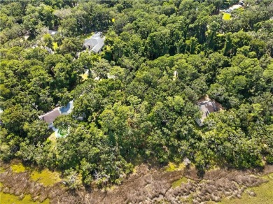 Expansive Marsh Views from this almost an acre lot in beautiful on The King and Prince Golf Course, Home of the Hampton Club in Georgia - for sale on GolfHomes.com, golf home, golf lot