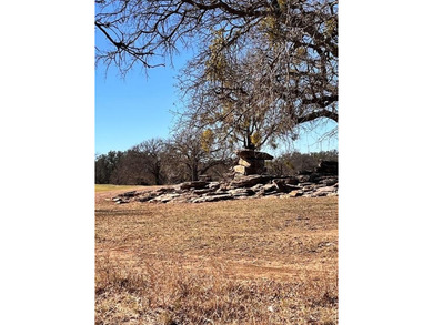 Interior Lot 591 on Breezy Street in the desirable King's Point on Hideout Golf Club and Resort  in Texas - for sale on GolfHomes.com, golf home, golf lot