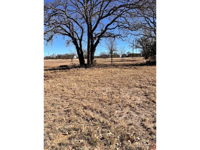 Interior Lot 591 on Breezy Street in the desirable King's Point on Hideout Golf Club and Resort  in Texas - for sale on GolfHomes.com, golf home, golf lot