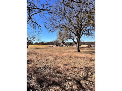 Interior Lot 591 on Breezy Street in the desirable King's Point on Hideout Golf Club and Resort  in Texas - for sale on GolfHomes.com, golf home, golf lot