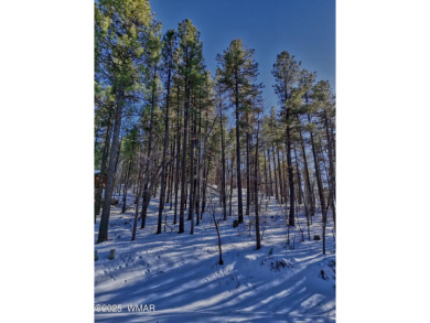 BEAUTIFUL, large building lot with lots of mature Ponderosa on Pinetop Lakes Country Club in Arizona - for sale on GolfHomes.com, golf home, golf lot