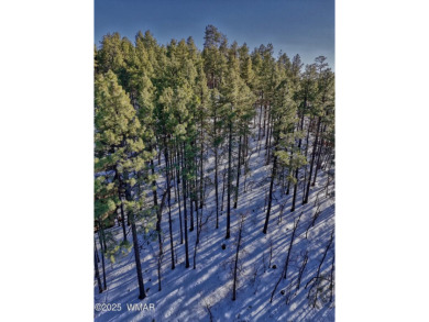 BEAUTIFUL, large building lot with lots of mature Ponderosa on Pinetop Lakes Country Club in Arizona - for sale on GolfHomes.com, golf home, golf lot