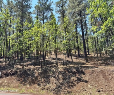 BEAUTIFUL, large building lot with lots of mature Ponderosa on Pinetop Lakes Country Club in Arizona - for sale on GolfHomes.com, golf home, golf lot