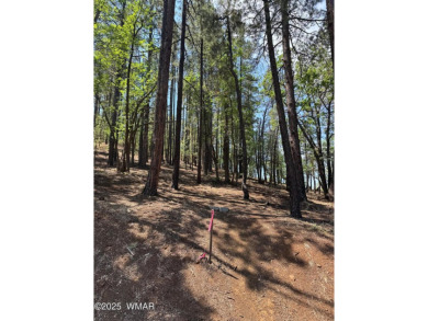 BEAUTIFUL, large building lot with lots of mature Ponderosa on Pinetop Lakes Country Club in Arizona - for sale on GolfHomes.com, golf home, golf lot