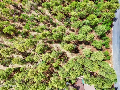 BEAUTIFUL, large building lot with lots of mature Ponderosa on Pinetop Lakes Country Club in Arizona - for sale on GolfHomes.com, golf home, golf lot