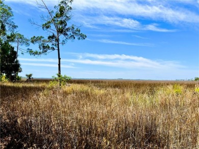 One of the last full marsh homesites available in the gated on The Club At Osprey Cove in Georgia - for sale on GolfHomes.com, golf home, golf lot