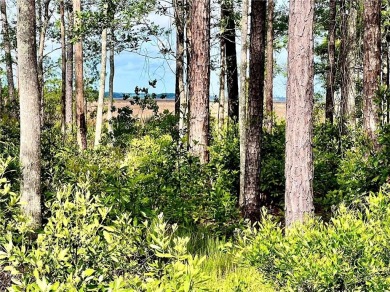 One of the last full marsh homesites available in the gated on The Club At Osprey Cove in Georgia - for sale on GolfHomes.com, golf home, golf lot