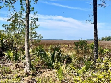 One of the last full marsh homesites available in the gated on The Club At Osprey Cove in Georgia - for sale on GolfHomes.com, golf home, golf lot