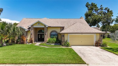 Stunning home situated on ONE of the largest LOTS with Pond view on Buckhorn Springs Golf and Country Club in Florida - for sale on GolfHomes.com, golf home, golf lot
