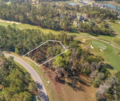 OVER 1/2 ACRE awaits your future home in the stunning Golf on Southern Hills Plantation Club in Florida - for sale on GolfHomes.com, golf home, golf lot