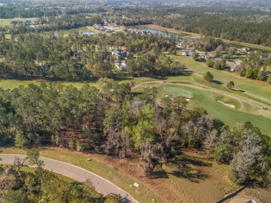 OVER 1/2 ACRE awaits your future home in the stunning Golf on Southern Hills Plantation Club in Florida - for sale on GolfHomes.com, golf home, golf lot