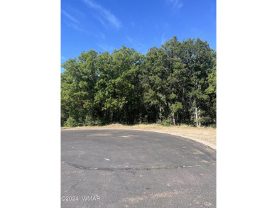 Heavily treed cul-da-sac lot in the beautiful community of on Torreon Golf Club in Arizona - for sale on GolfHomes.com, golf home, golf lot