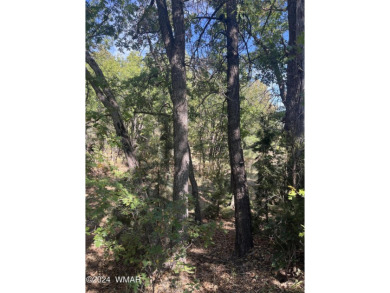 Heavily treed cul-da-sac lot in the beautiful community of on Torreon Golf Club in Arizona - for sale on GolfHomes.com, golf home, golf lot