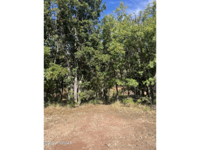 Heavily treed cul-da-sac lot in the beautiful community of on Torreon Golf Club in Arizona - for sale on GolfHomes.com, golf home, golf lot