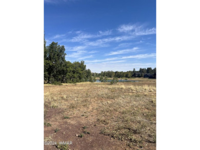 Heavily treed cul-da-sac lot in the beautiful community of on Torreon Golf Club in Arizona - for sale on GolfHomes.com, golf home, golf lot