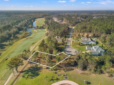 You truly cannot appreciate the magnificent view of this lot on Southern Hills Plantation Club in Florida - for sale on GolfHomes.com, golf home, golf lot