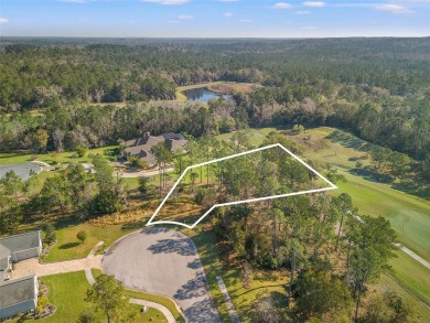 You truly cannot appreciate the magnificent view of this lot on Southern Hills Plantation Club in Florida - for sale on GolfHomes.com, golf home, golf lot