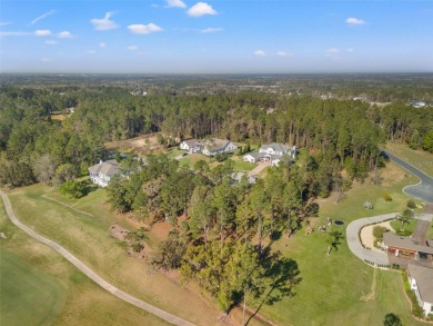 You truly cannot appreciate the magnificent view of this lot on Southern Hills Plantation Club in Florida - for sale on GolfHomes.com, golf home, golf lot