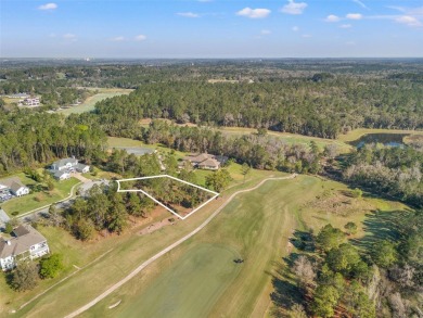 You truly cannot appreciate the magnificent view of this lot on Southern Hills Plantation Club in Florida - for sale on GolfHomes.com, golf home, golf lot