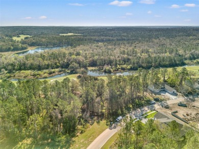 You truly cannot appreciate the magnificent view of this lot on Southern Hills Plantation Club in Florida - for sale on GolfHomes.com, golf home, golf lot