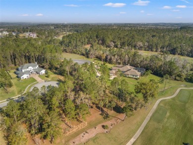 You truly cannot appreciate the magnificent view of this lot on Southern Hills Plantation Club in Florida - for sale on GolfHomes.com, golf home, golf lot